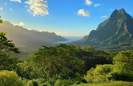 Moorea Cruise Ships: 4×4, Belvedere,Magic Mountain pineaple