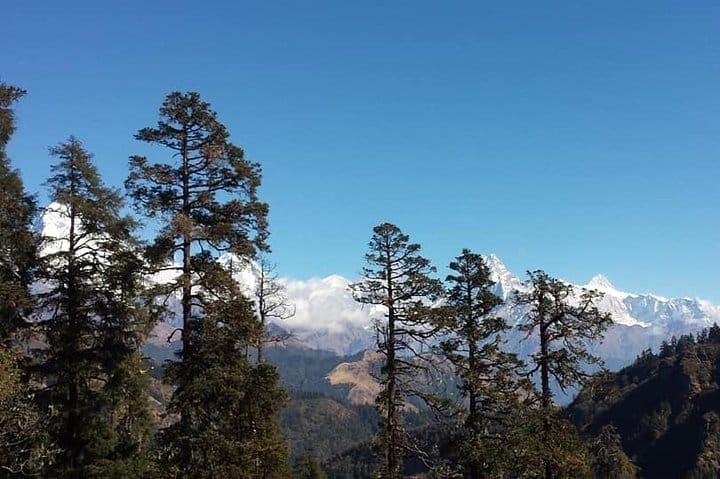 Vegetation and the mountains combo in your screen.