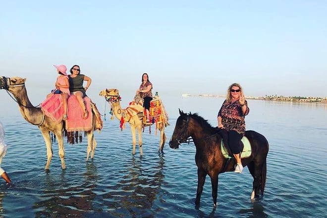 Swimming By Horse in Red Sea, Horse Riding Sea &amp; Desert-Hurghada