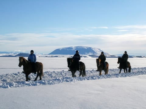 Riding on ice - Lake Myvatn