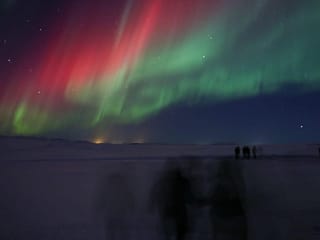 VIATOR Northern Lights Private Tour from Reykjavik, photo 7