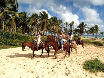 Horseback Riding Tour at Macao Beach in the Dominican Republic