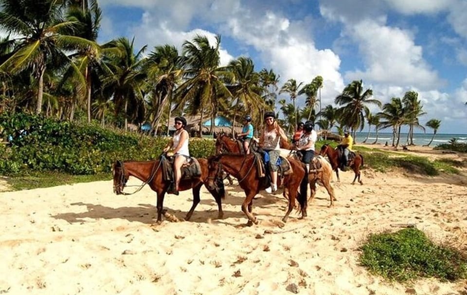 Horseback Riding Tour at Macao Beach in the Dominican Republic