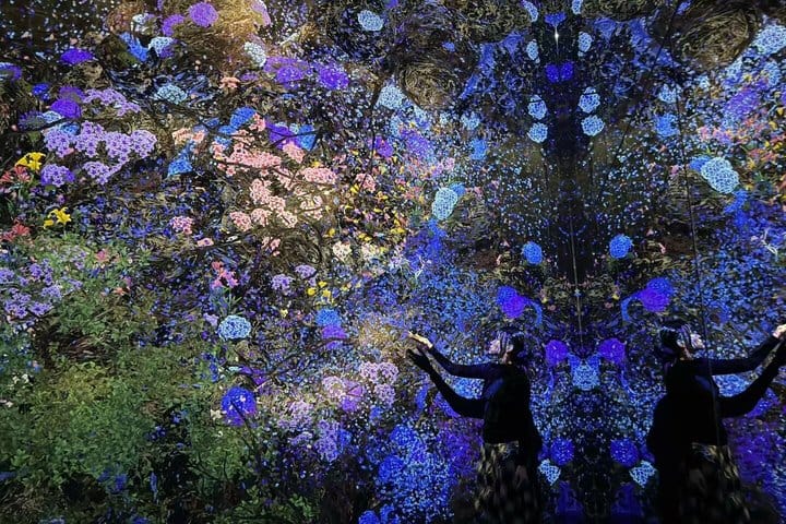 TeamLab Planets Tokyo Ticket Only