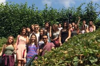 English + Medicine University Taster One Week Program in London 1