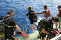 Scuba Diving Tour with Lunch in Alanya 7
