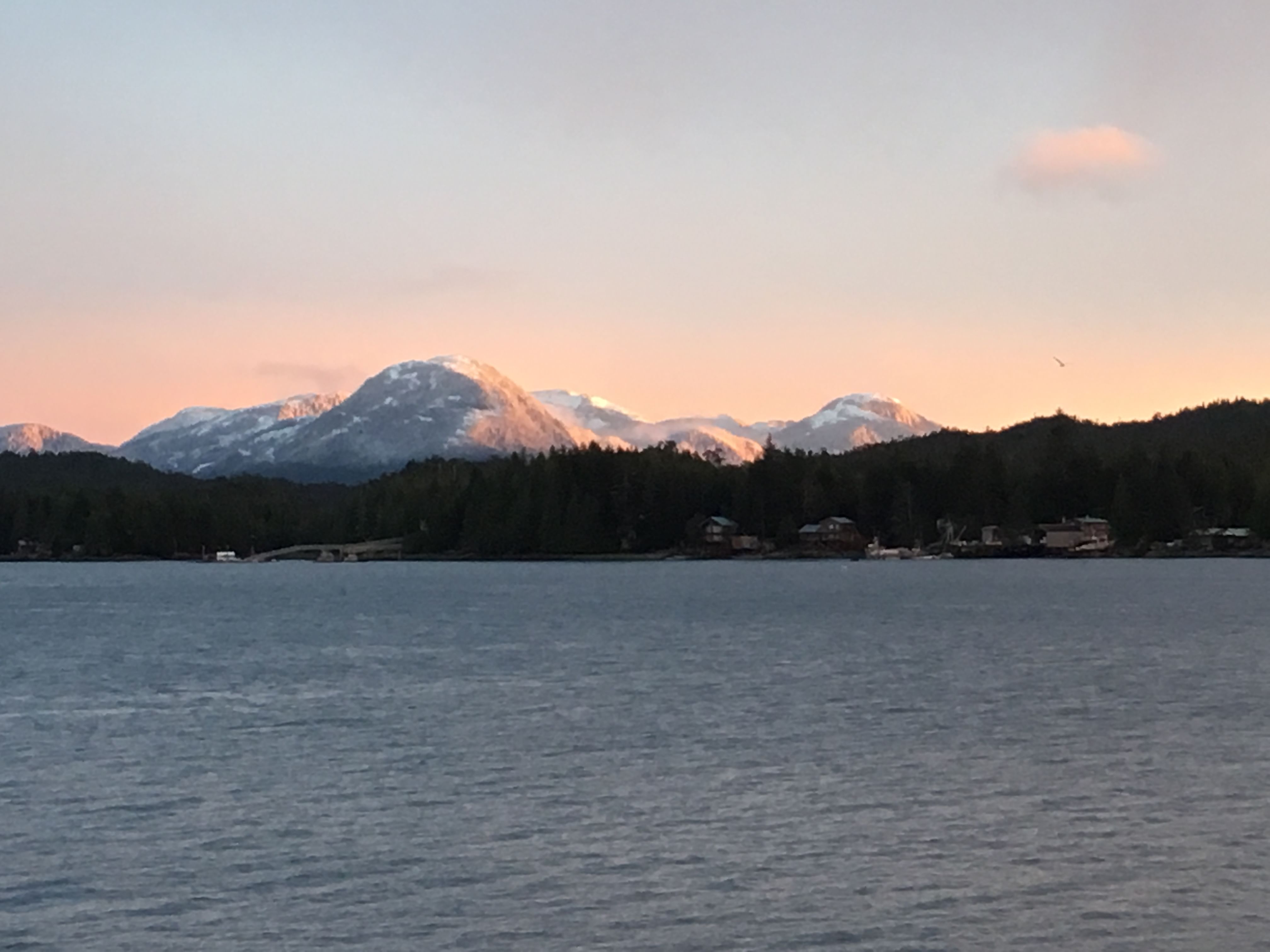 Snow-capped mountains sit in the background of an ocean shot