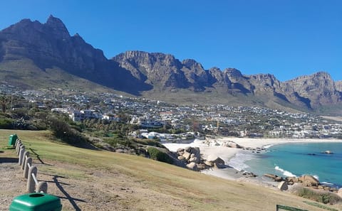 Full Day Tour of Cape Point, Boulders Beach, and Chapman's Peak