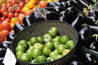 Explore El Bolson's popular outdoor market