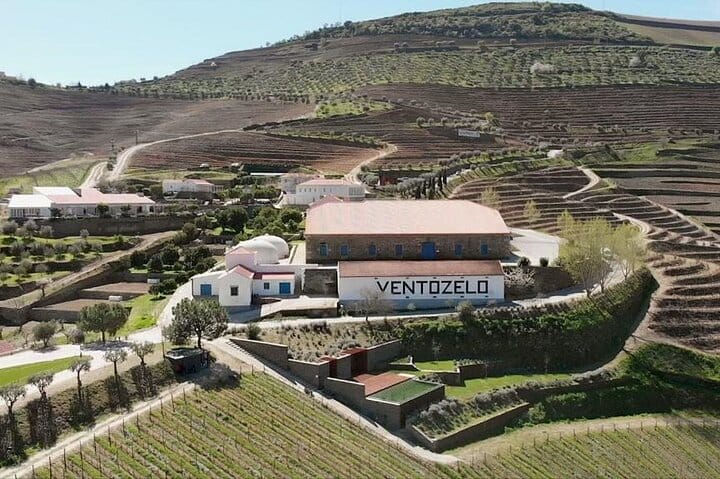 Douro Tour, Lunch at an Award-Winning Winery and Private Cruise