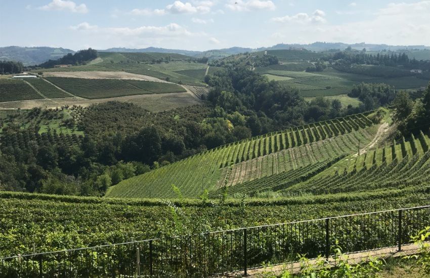 Barolo Wine Tour with Lunch from Milan
