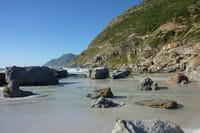 Cape Town: Private Day Trip to Cape Peninsula with a Local 7