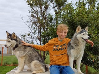 Husky Petting in Akureyri - Private experience, photo 14