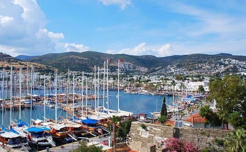 Bodrum Pirate Boat Tour with Lunch and Scenic Stops