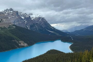 Lake Louise, Moraine Lake, Peyto Lake, Crowfoot Tour from Canmore