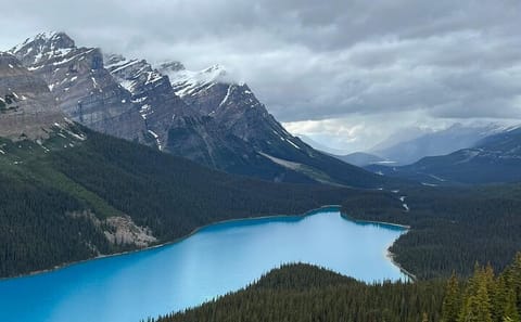 Guided Nature Tour of Lake Louise and Moraine Lake from Canmore