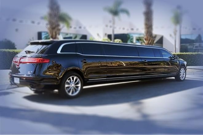 Party in a stretch limo or a party bus