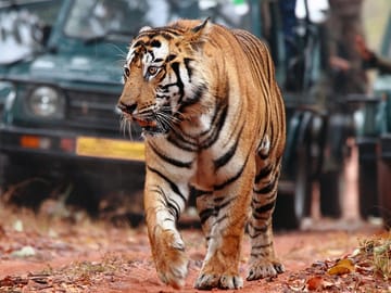 Delhi, Agar & Rajasthan Tour for 12-Days