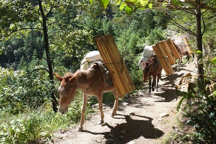 19 Days Mera Peak Climbing & Expedition – One Life-Changing Himalayan Adventure