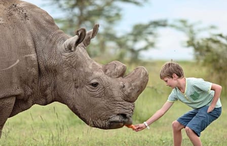 Day Tour To Ol Pejeta Conservancy
