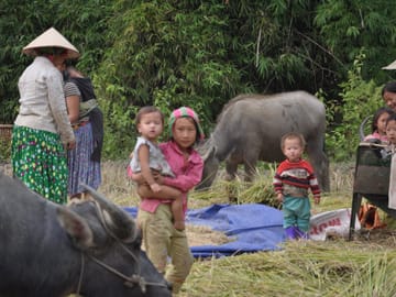 Three-Day Trekking Adventure in Ba Be, Vietnam