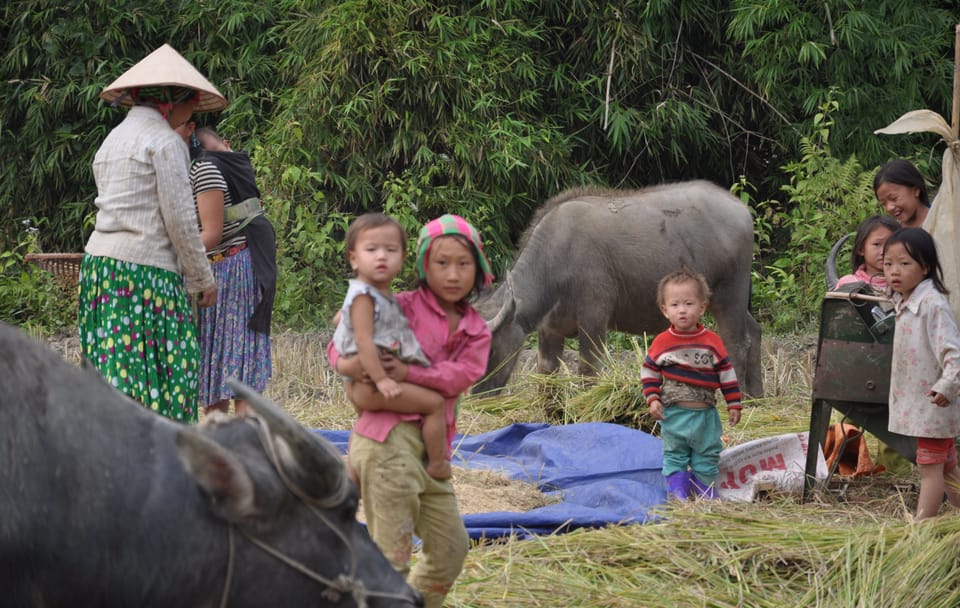 Three-Day Trekking Adventure in Ba Be, Vietnam
