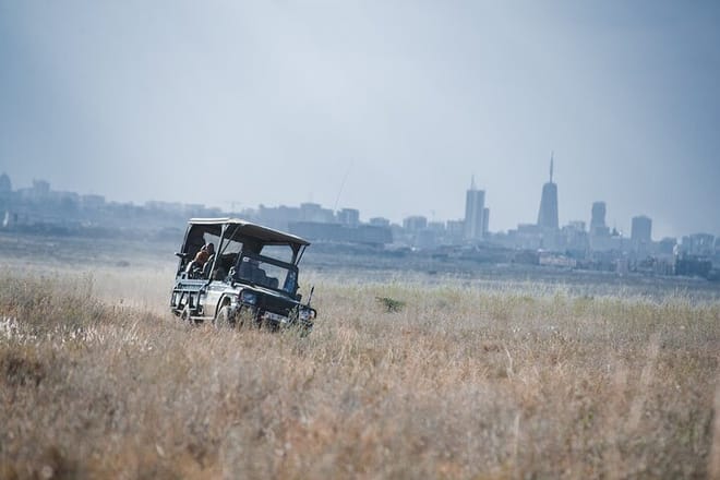 Nairobi National Park 4*4 Open Safari Jeep Rental photo 4