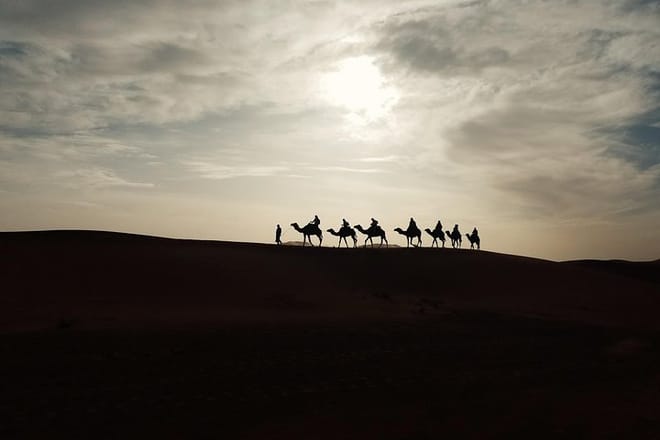 Camel ride