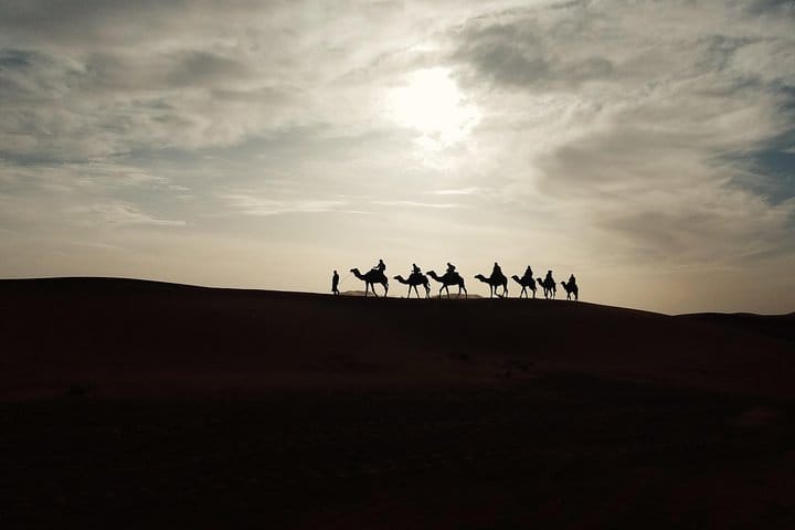 Camel ride