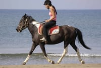 Side: Horse Riding on the Beach 8