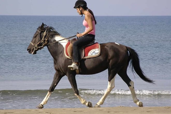 Side: Horse Riding on the Beach 8