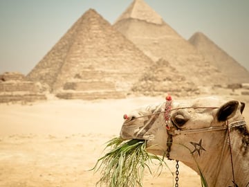 Giza Pyramids and Sphinx Egypt