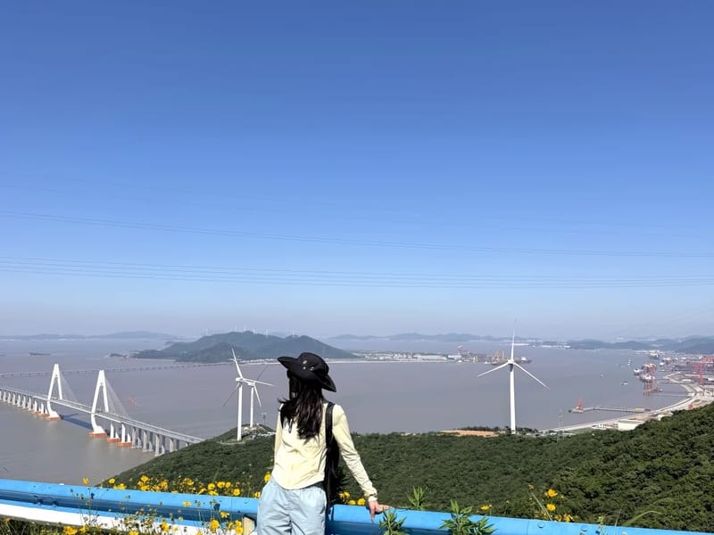 Shanghai: Zhoushan Windmill Coast Private Day Trip