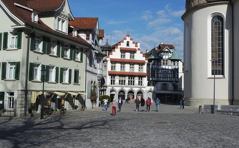 Guided Walking Tour of St. Gallen's Abbey District and Old Town