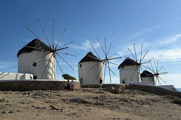 Mykonos Island Tour for Cruise Passengers 2