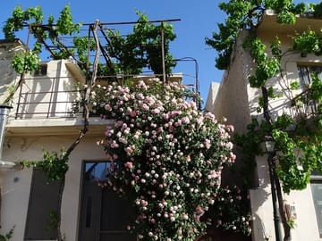 Private Guided Tour of Lasithi Plateau Villages in Crete