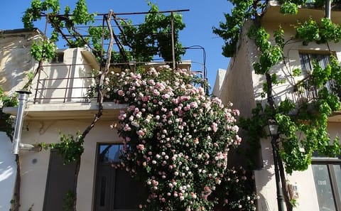 Private Guided Tour of Lasithi Plateau Villages in Crete