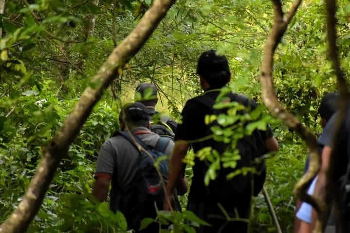 Rain Forest Trekking at Kitulgala Forest Reserve Sri Lanka