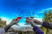 Full Day Columbia River Gorge Waterfalls and Wine Tasting Combo 7
