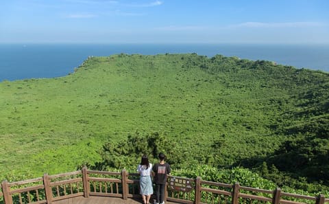 Customizable Full-Day Tour of Jeju Island Highlights