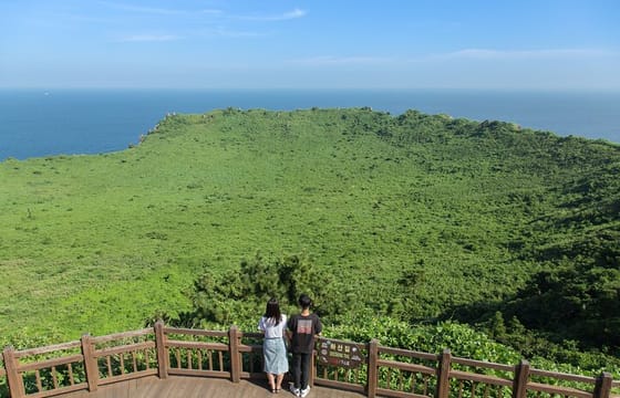 Full-day Customizable Private Jeju Island Tour