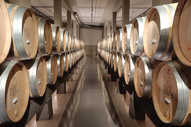 Rioja Day Tour: Explore Three Wineries with Tastings - Photo 10