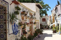 Granada Private Walking Tour with a Professional Guide 7