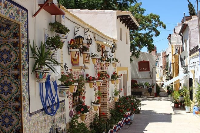 Granada Private Walking Tour with a Professional Guide 7