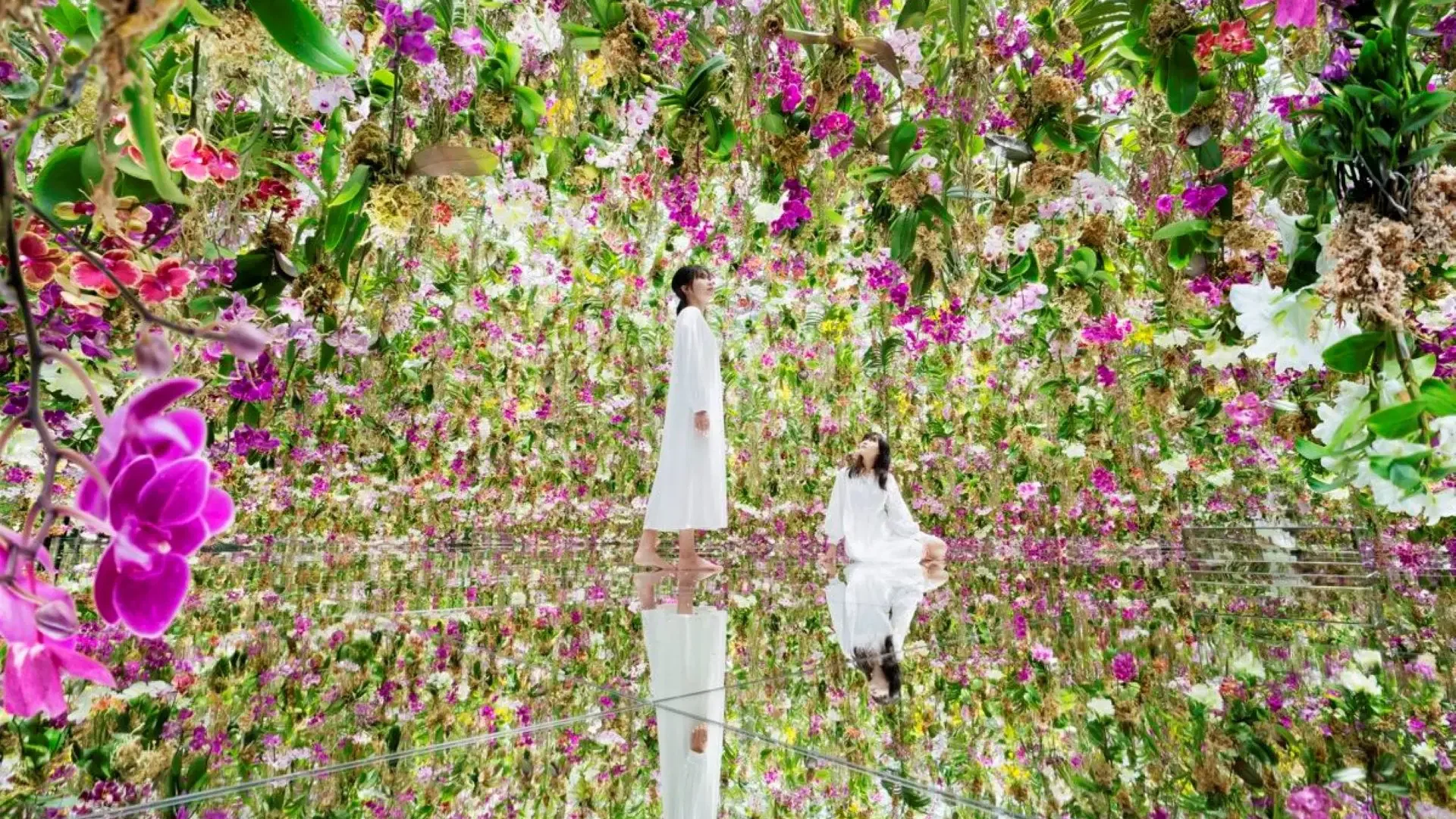 Two visitors in white dresses stand among a suspended garden of vibrant orchids that reflect off a mirrored floor at COMBO: Tokyo Skytree + teamLab Planets TOKYO Tickets.