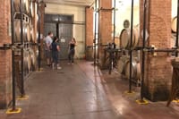 Exclusive Private Carmignano Experience: The First Cabernet Sauvignon in Tuscany 7