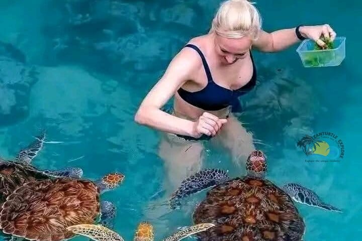 Zanzibar Prison Island, Jozani Forest and Salaam Cave Sea Turtles