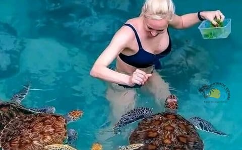 Jozani Forest and Salaam Cave Turtle Tour in Zanzibar