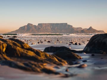 Cape Town Day Trip: Cape of Good Hope and Penguin Viewing