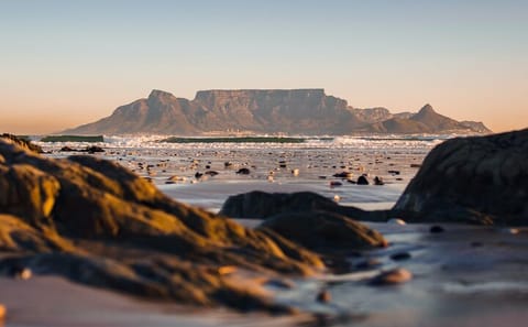 Cape Town Day Trip: Cape of Good Hope and Penguin Viewing